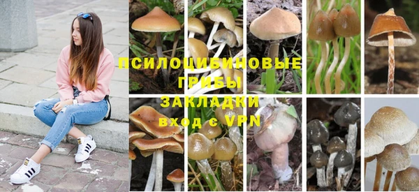 jwh Бородино