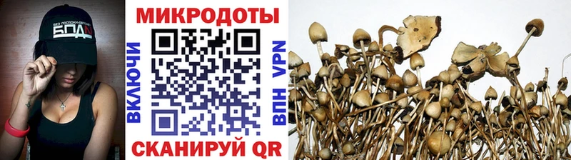 Галлюциногенные грибы MAGIC MUSHROOMS  KRAKEN как зайти  Волгореченск 